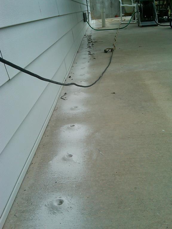 Pictures for Quality Termite & Pest Control Incorporated in Topeka, KS